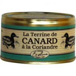 Duck terrine with coriander...